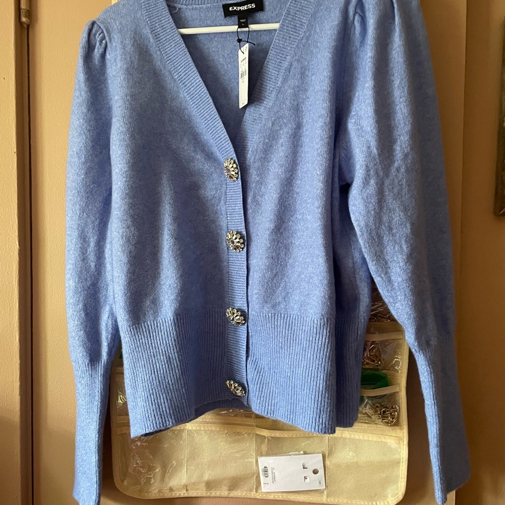 Express Bling sweater